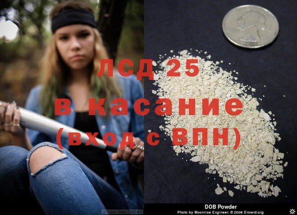 ГАЛЛЮЦИНОГЕННЫЕ ГРИБЫ Бугульма