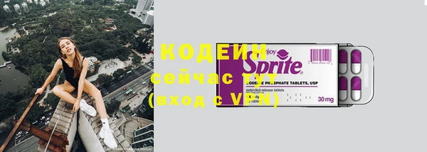 соль ск Бородино