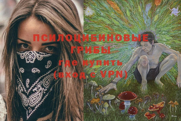 ГАЛЛЮЦИНОГЕННЫЕ ГРИБЫ Бугульма