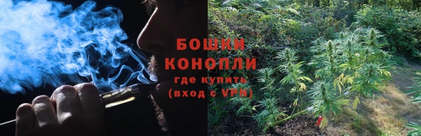 соль ск Бородино