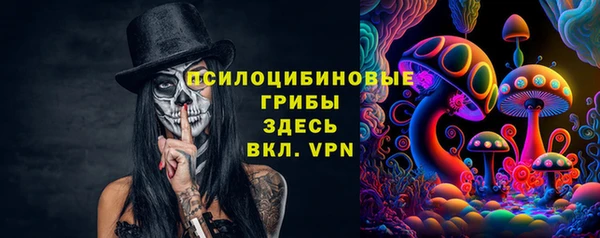 соль ск Бородино